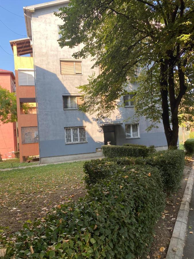 Martina Lux Belgrade